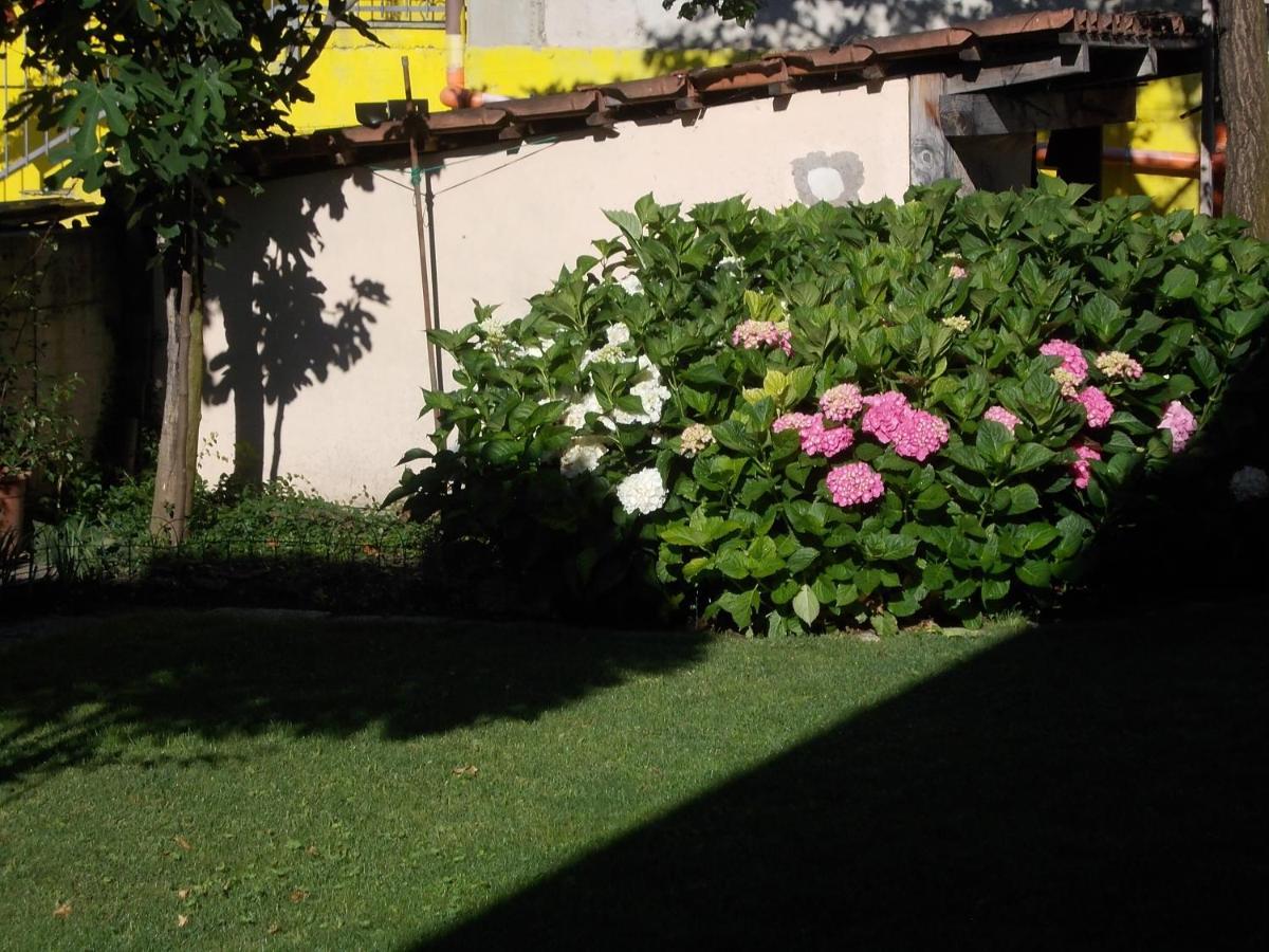 Les Hirondelles Bed & Breakfast Fenis Exterior photo